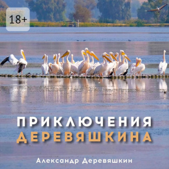 Обложка книги «Приключения Деревяшкина»