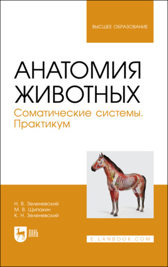 Н. В. Зеленевский. Анатомия животных. Соматические системы. Практикум. Учебное пособие для вузов