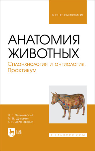 Н. В. Зеленевский. Анатомия животных. Спланхнология и ангиология. Практикум. Учебное пособие для вузов