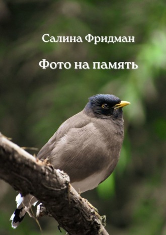 Обложка книги «Фото на память»
