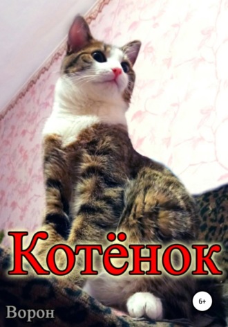 Ворон. Котёнок