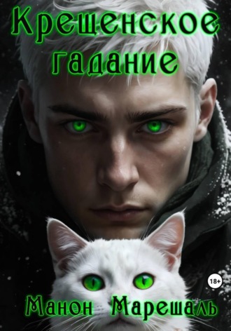 Обложка книги «Крещенское гадание»