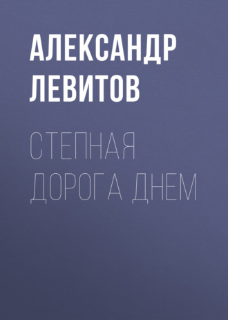 Обложка книги «Степная дорога днем»