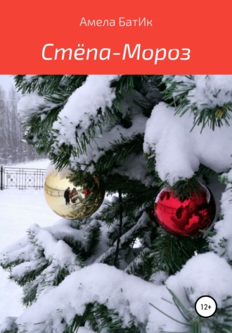Обложка книги «Стёпа-Мороз»