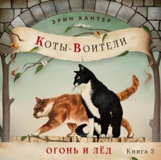 Обложка книги «Огонь и лед»