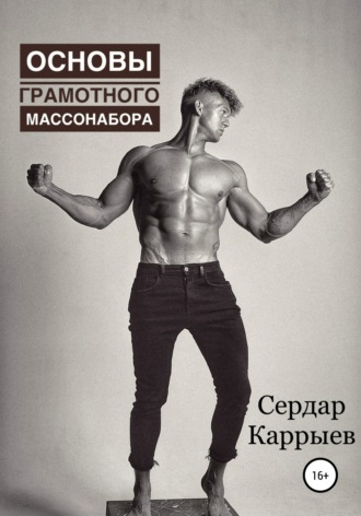 Обложка книги «Основы грамотного массонабора»