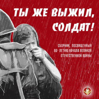 Обложка книги «Ты же выжил, солдат!»