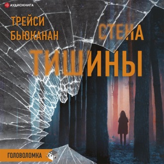Обложка книги «Стена тишины»