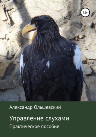 Обложка книги «Управление слухами. Практическое пособие»