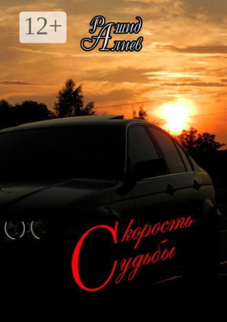 Обложка книги «Скорость судьбы»
