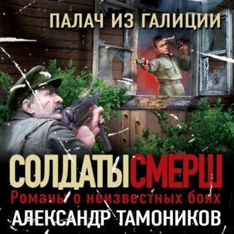 Обложка книги «Палач из Галиции»