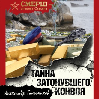 Обложка книги «Тайна затонувшего конвоя»