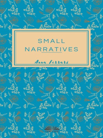 Обложка книги «Small Narratives»