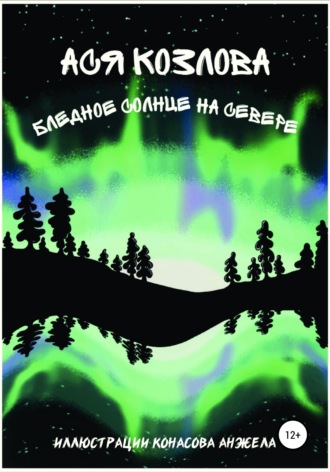 Обложка книги «Бледное солнце на севере»
