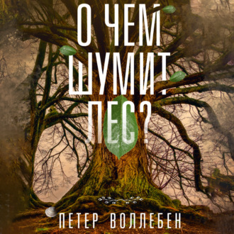 Обложка книги «О чем шумит лес?»