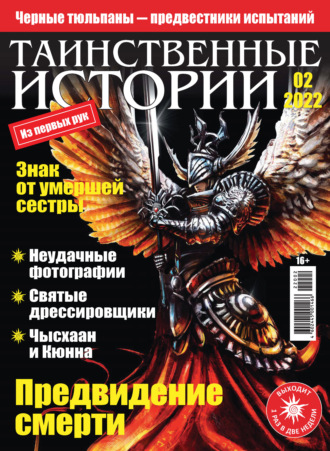 Обложка книги «Таинственные истории №02/2022»