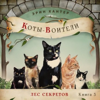 Обложка книги «Лес секретов»