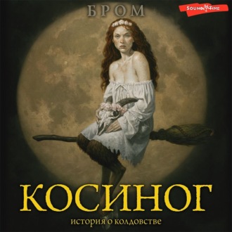 Обложка книги «Косиног. История о колдовстве»