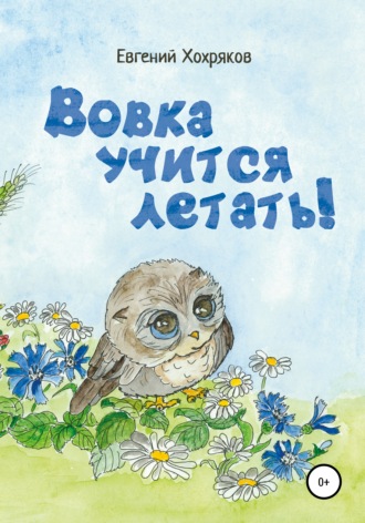 Обложка книги «Вовка учится летать!»