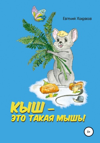 Обложка книги «Кыш – это такая мышь!»