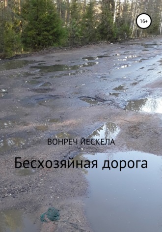 Обложка книги «Бесхозяйная дорога»