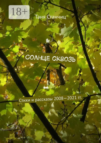 Обложка книги «Солнце сквозь. Стихи и рассказы 2008—2021 гг.»