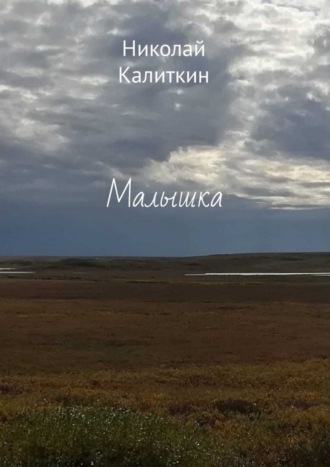 Обложка книги «Малышка»