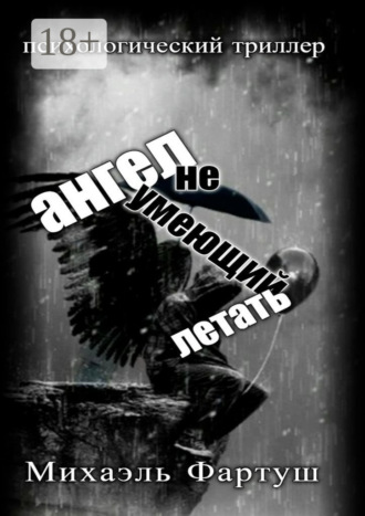Обложка книги «Ангел, не умеющий летать»