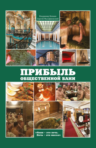 Обложка книги «Прибыль общественной бани»