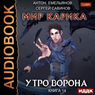 Обложка книги «Утро ворона»
