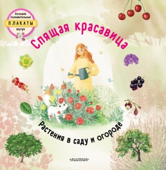 Штепанка Секанинова. Спящая красавица. Растения в саду и огороде