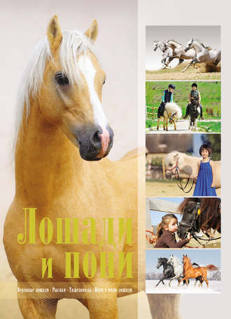 Обложка книги «Лошади и пони»