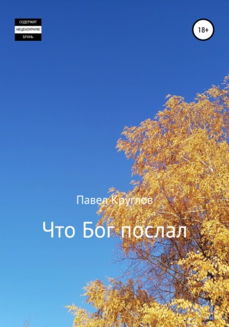 Обложка книги «Что Бог послал»