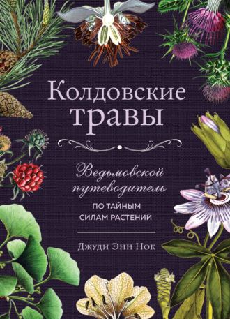 Джуди Энн Нок. Колдовские травы. Ведьмовской путеводитель по тайным силам растений