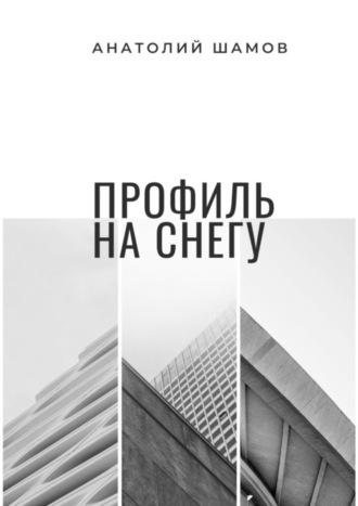 Обложка книги «Профиль на снегу. Философская и любовная лирика»
