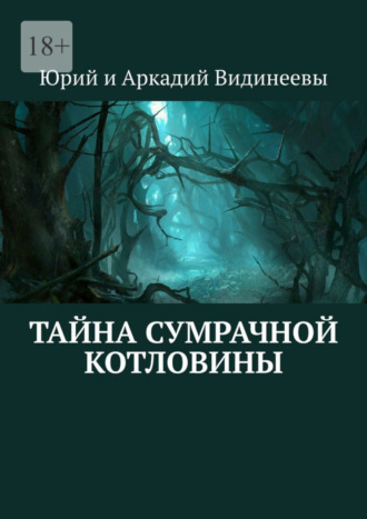 Юрий и Аркадий Видинеевы. Тайна Сумрачной Котловины