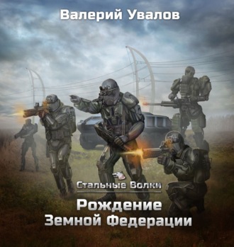 Обложка книги «Стальные Волки. Рождение Земной Федерации»