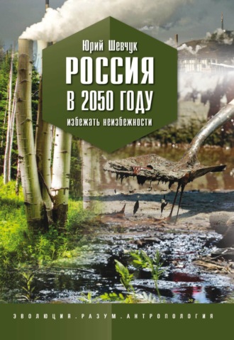 Обложка книги «Россия в 2050 году. Избежать неизбежности»