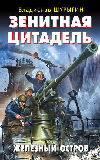Обложка книги «Зенитная цитадель. «Не тронь меня!»»