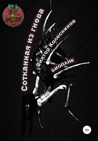 Обложка книги «Сотканная из гнева»