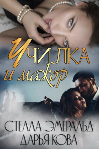 Обложка книги «Училка и мажор»