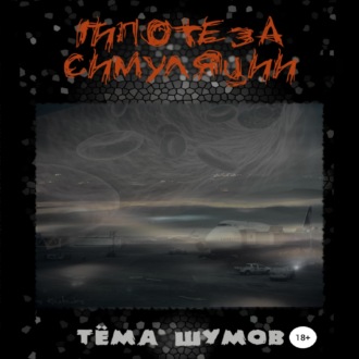 Обложка книги «Гипотеза симуляции»