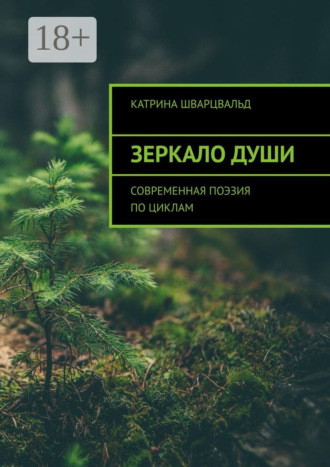 Обложка книги «Зеркало души. Современная поэзия по циклам»