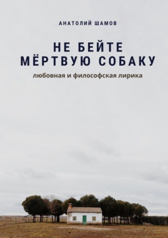 Обложка книги «Не бейте мёртвую собаку. Любовная и философская лирика»