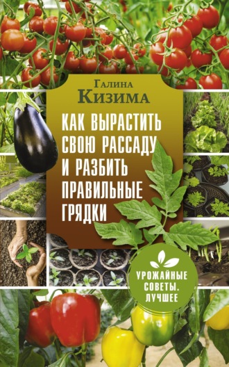Обложка книги «Как вырастить свою рассаду и разбить правильные грядки»