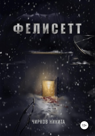 Обложка книги «Фелисетт»
