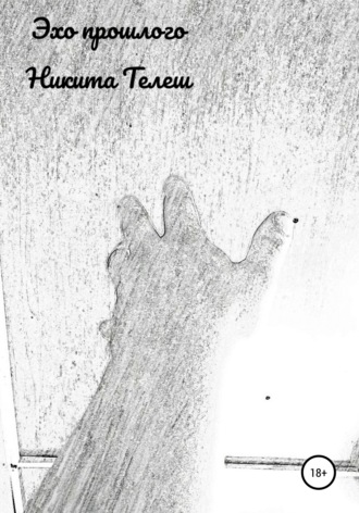 Обложка книги «Эхо прошлого»