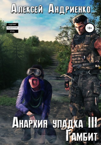 Алексей Владимирович Андриенко. Анархия упадка 3. Гамбит