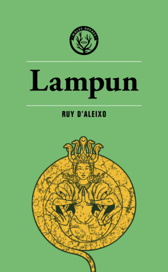 Ruy D'Aleixo. Lampun