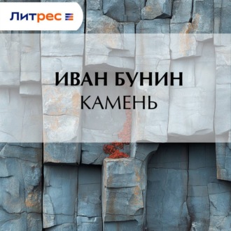 Обложка книги «Камень»